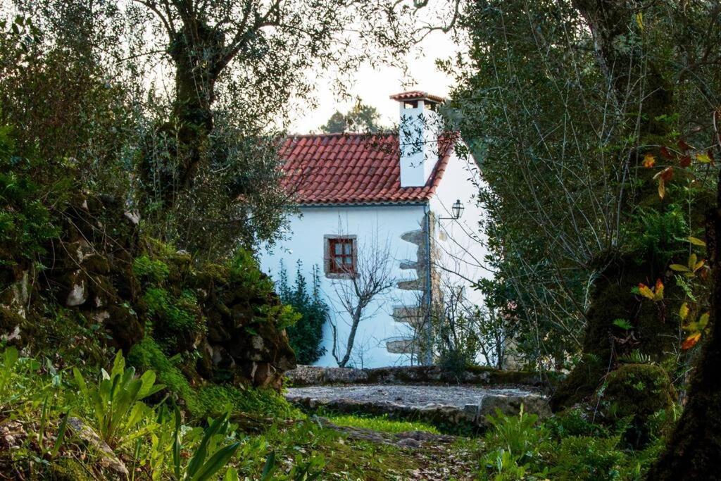 Casa Do Vale Do Papo Villa Pombal  Luaran gambar